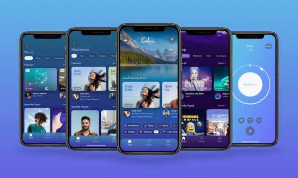 Unique-features-of-the-app-Calm-(Source-Google)